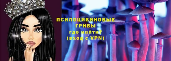 твердый Алексеевка