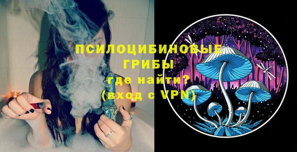 твердый Алексеевка