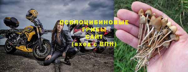 твердый Алексеевка